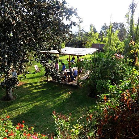 La Casa Del Tilo Bed and Breakfast Hacienda Santa Rosa Εξωτερικό φωτογραφία