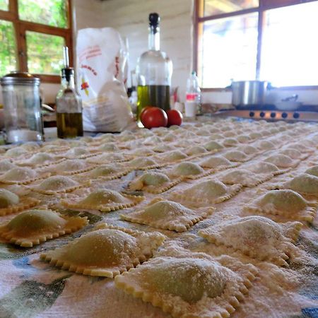La Casa Del Tilo Bed and Breakfast Hacienda Santa Rosa Εξωτερικό φωτογραφία