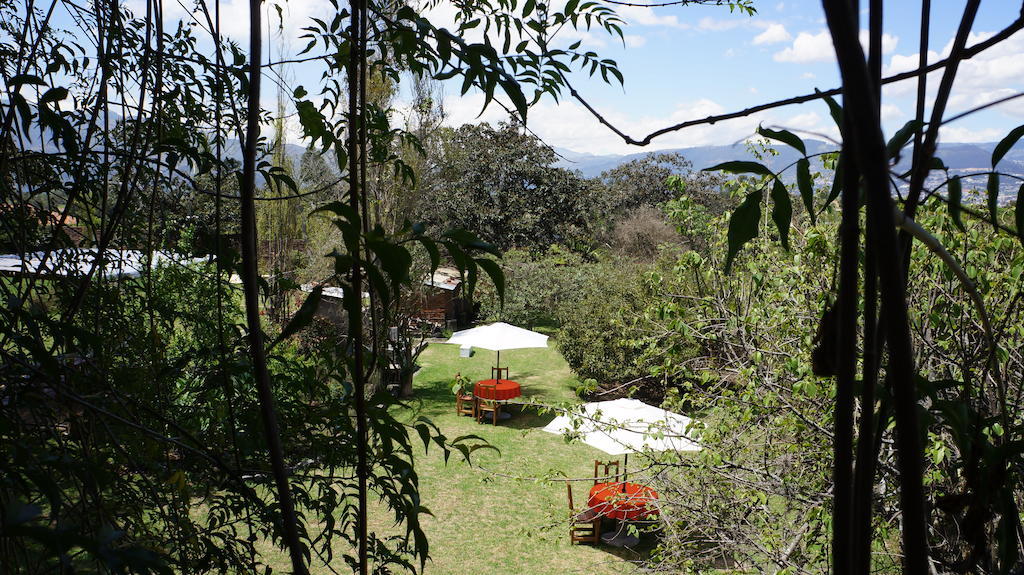 La Casa Del Tilo Bed and Breakfast Hacienda Santa Rosa Εξωτερικό φωτογραφία